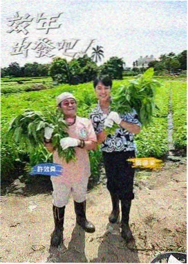 荒野厨房 户外美食综艺海报